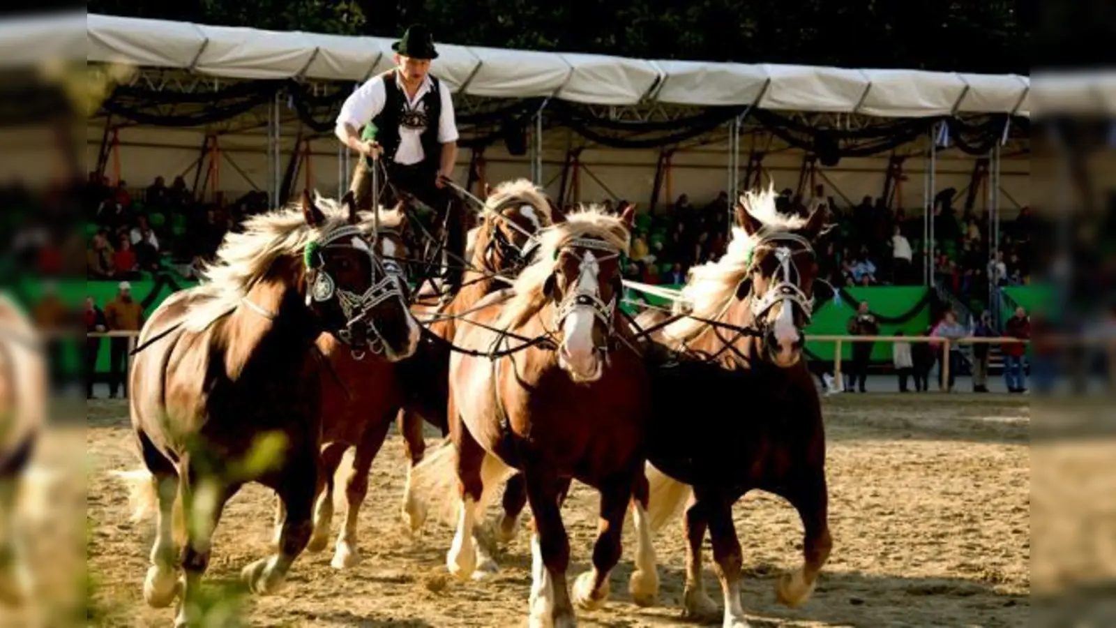 Ähnlicher Flair wie auf der Oidn Wiesn:  Impression vom letzten Zentral-Landwirtschaftsfest 2008.  (Foto: ZLF)