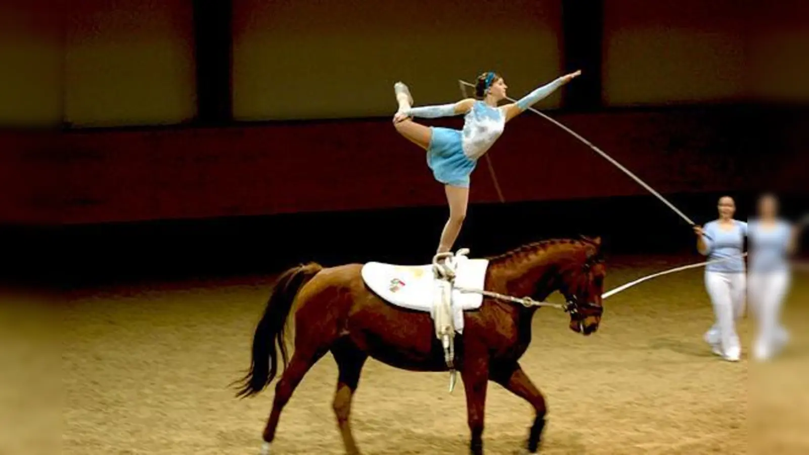 Ihr Können zeigen rund 150 Reiter und Voltigierer in einer zauberhaften Geschichte.  (Foto: Verein)