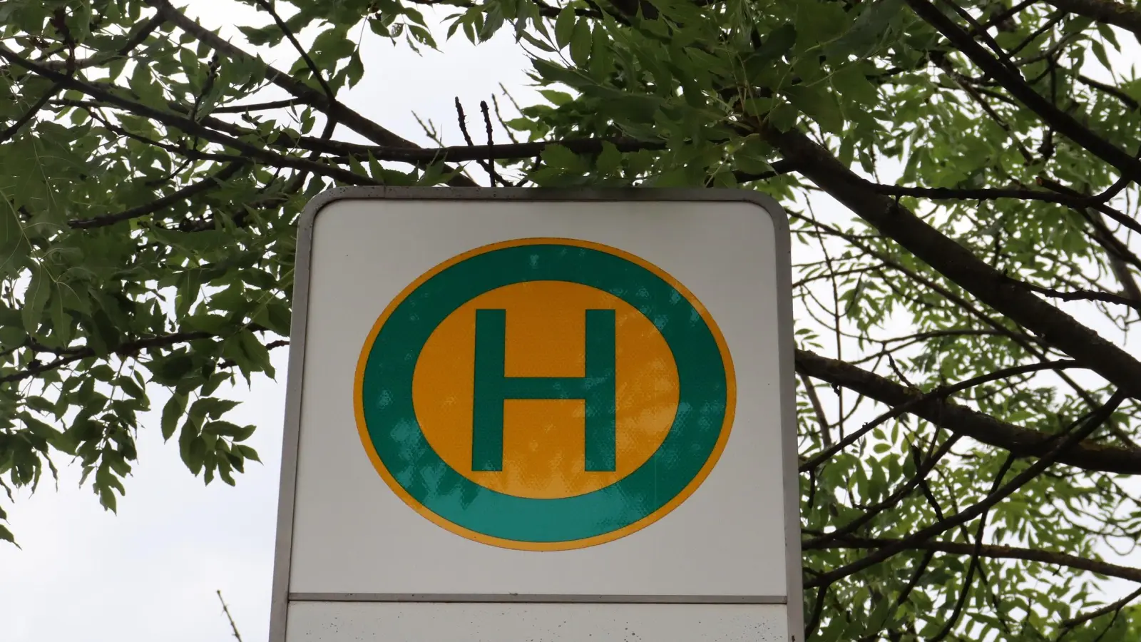 Am Samstag, 13. September, sind wegen einer Demonstration mehrere Buslinien eingeschränkt.  (Foto: mha)