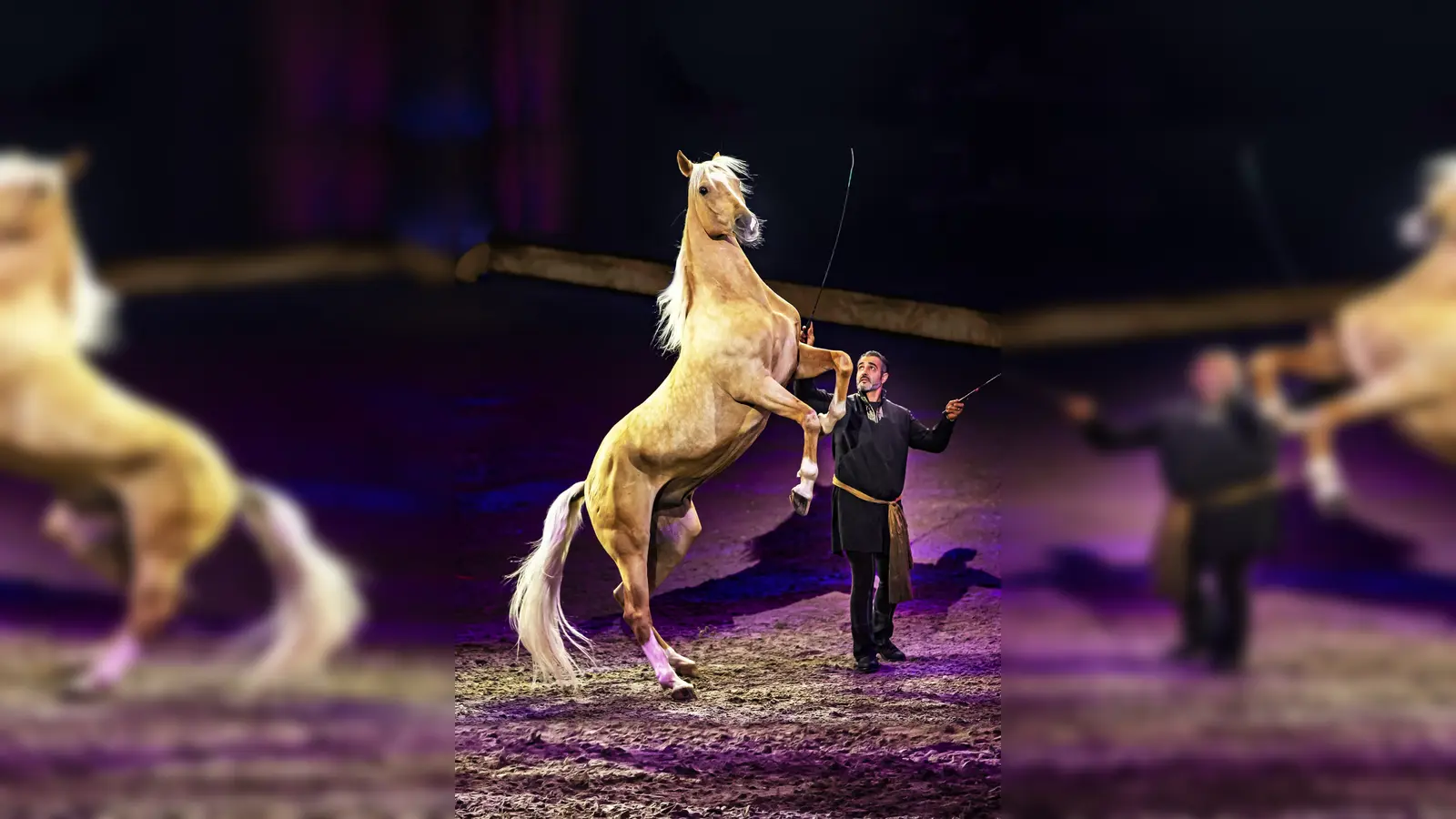 Bartolo Messina hier mit einem steigendem Pferd.  (Foto: CAVALLUNA)