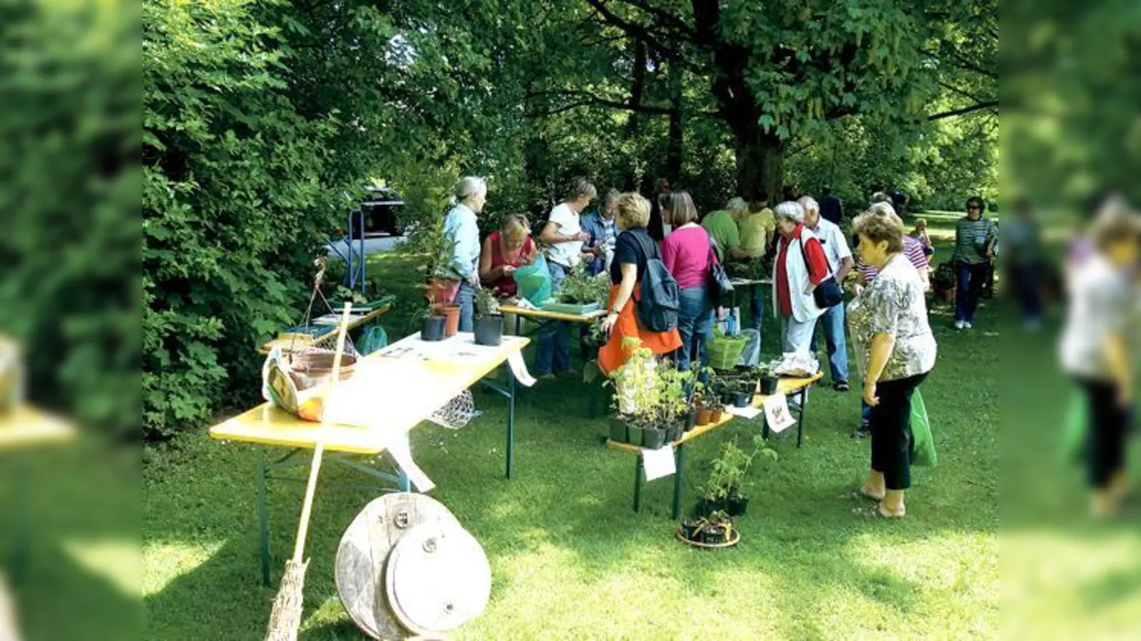 Die Pflanzentauschbörse mit Flohmarkt findet am kommenden Samstag, 12. Mai, statt. 	 (Foto: VA)