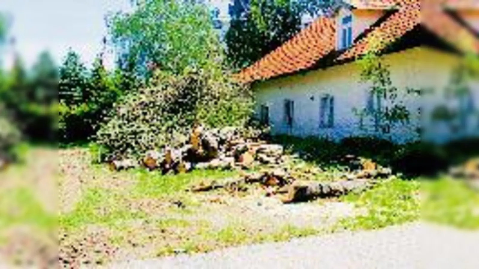 Die ersten »Opfer« liegen schon auf dem St.-Martins-Platz. Fast 170 Bäume sollen nördlich und südlich des Moosacher Stachus entlang der Pelkovenstraße gefällt werden.	 (Foto: ta)