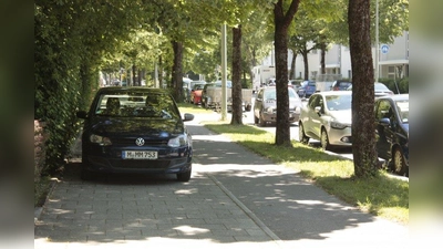 Gehwegparker ärgern Anwohner. (Foto: job)