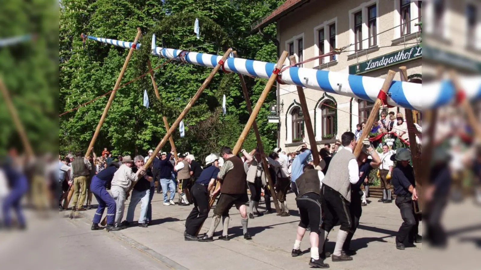 Es braucht viele kräftige Burschen und Männer, um einen Maibaum von Hand aufzurichten. (Foto: Eva Schraft)