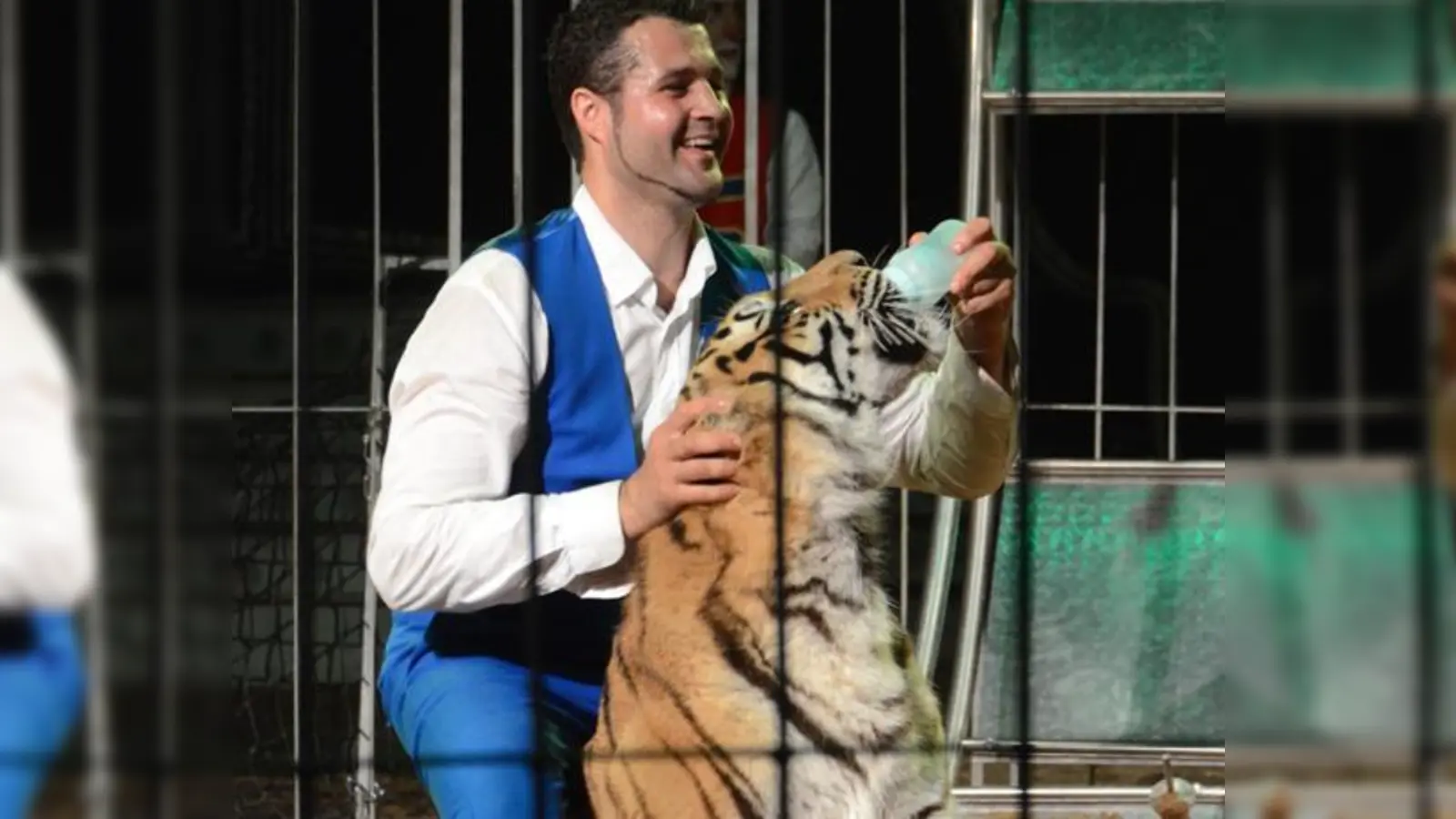 Die Gitterstäbe verraten es: Der Fotograf ist für das Foto lieber außerhalb des Käfigs geblieben. Den Raubtierlehrer Robano Kübler haben die Tiere des Circus Voyage als ihren Ziehvater akzeptiert.	 (Foto: Circus)