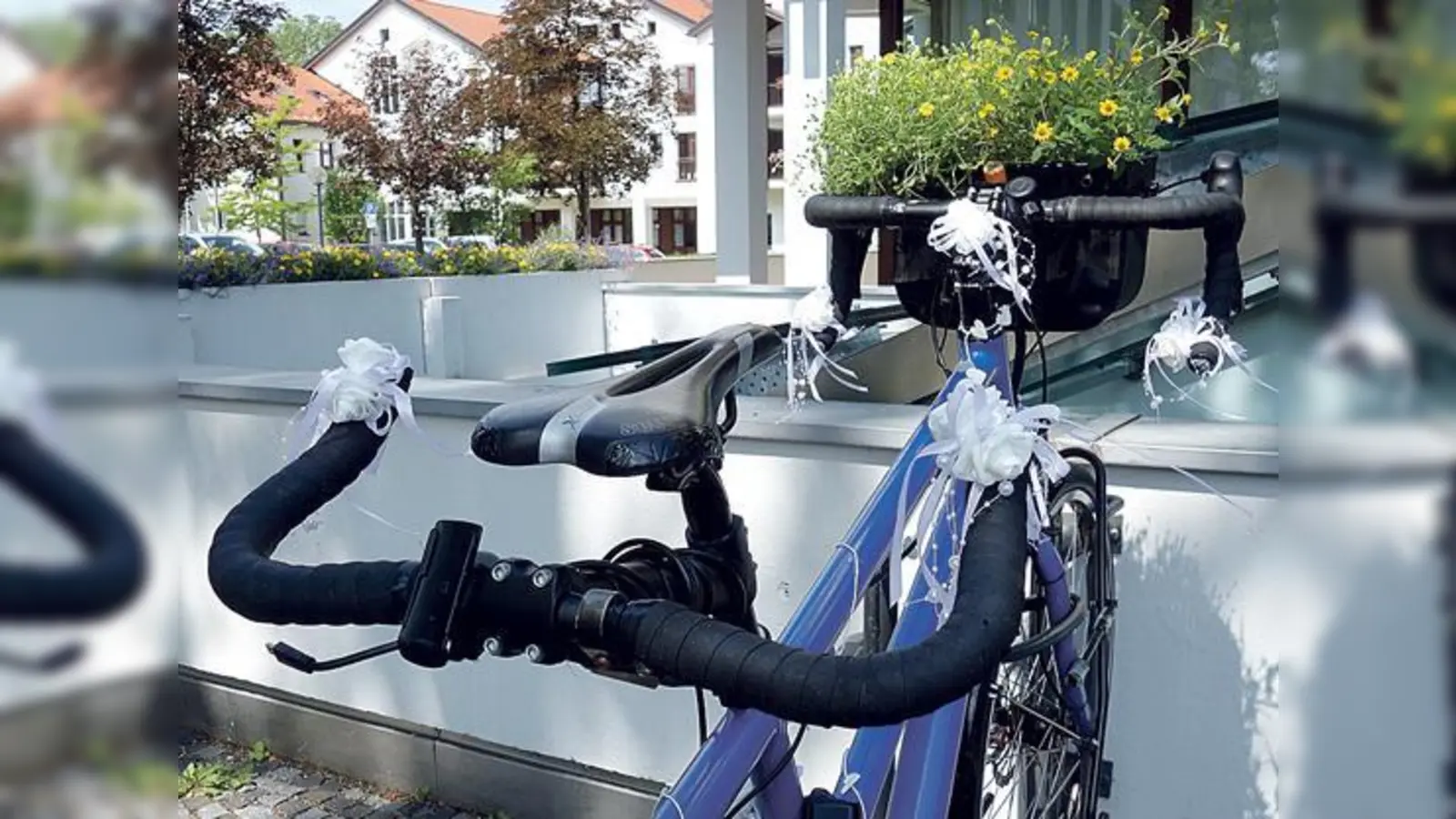 Fahrradfahren ist nicht nur gesund und gut für die Umwelt, sondern kann auch sehr romantisch sein.                         (Foto: hw)