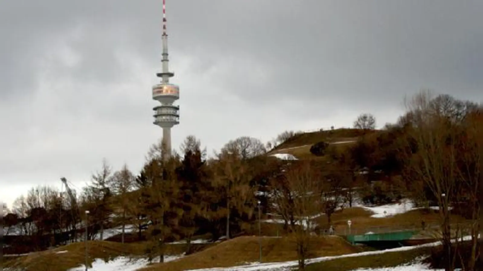 Das Baureferat wies die Kritik von einer »fortschreitenden Abholzung auf dem Olympiaberg« zurück. Vielmehr seien notwendige Gehölzpflegemaßnahmen durchgeführt worden. 	 (Foto: ws)