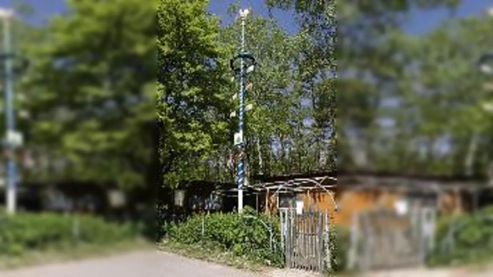 Da steht er: Der einzige Maibaum im Hasenbergl findet sich in der Schrebergartenanlage der Gartennachbarschaft Hasenbergl Nord e.V.  (Foto: gf)