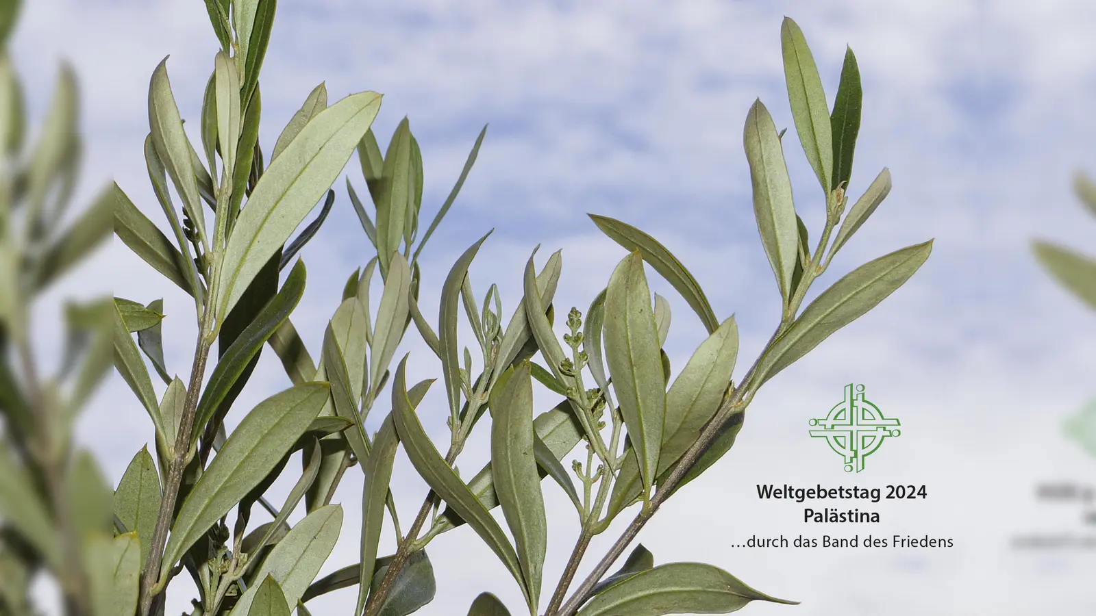 Am Weltgebetstag findet ein ökumenischer Gottesdienst statt. Christliche Frauen aus Palestina haben ihn vorbereitet.  (Foto: © Kathrin Schwarze )