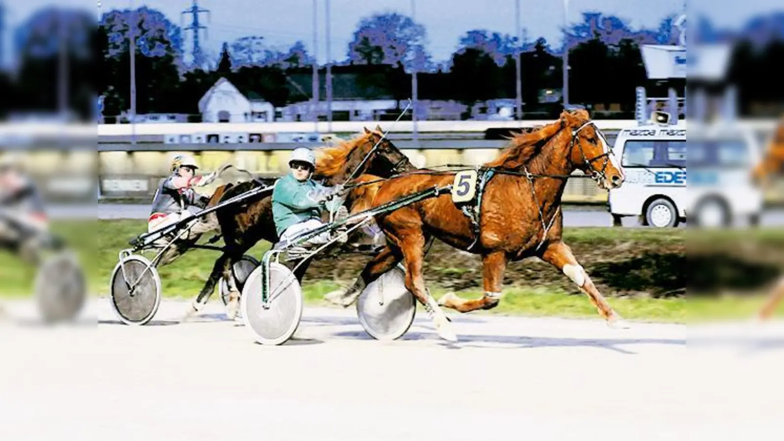 Osman Somolli, das Pferd des Jahres 2009 (vorne), gilt als heißer Favorit.  (Foto: Privat)