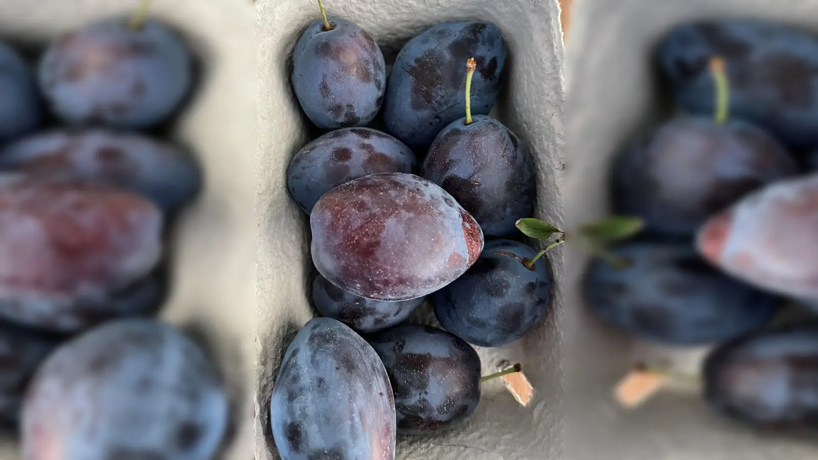 Am 28. Oktober gibt es für die Teilnehmer Zwetschgennudeln aus der Backstube am Reitsberger Hof. (Foto: hw)