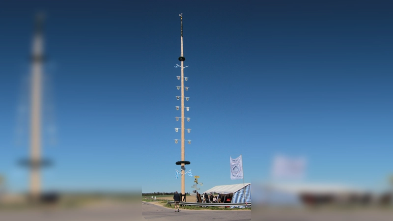 31 Meter hoch ist der Maibaum. (Foto: georgwohllebenfotografie)