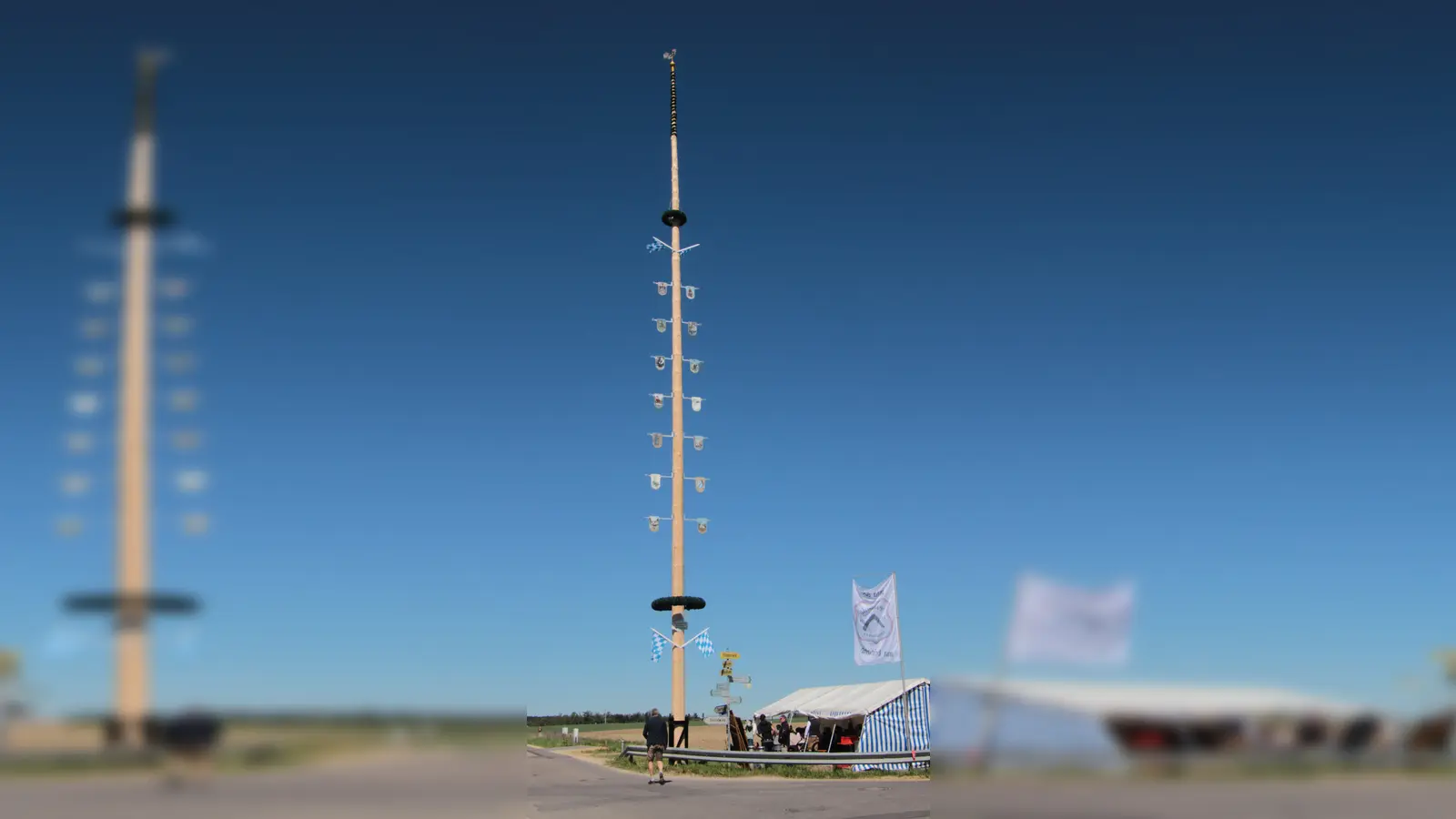 31 Meter hoch ist der Maibaum. (Foto: georgwohllebenfotografie)