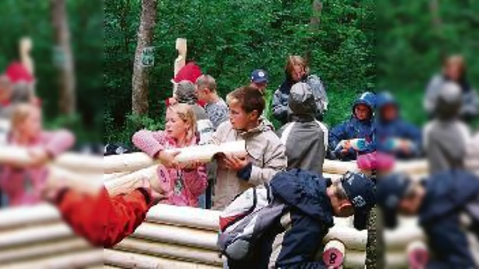 850 Grundschüler nahmen am diesjährigen Walderlebnistag teil.  (Foto: VA)