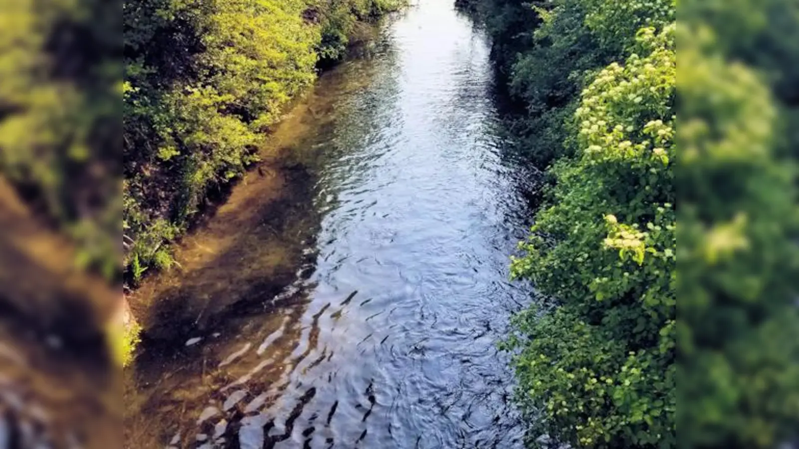Der Daglfinger Hüllgraben führt als Fortsetzung des unterirdisch zugeleiteten Hachinger Bachs vom Zamdorfer Gleisdreieck in den Abfanggraben (Bild). (F.: NordOstKultur-Verein)