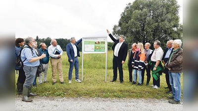 Die Flughafen München GmbH hat am Rande des neu angelegten Biotops für seltene Moosschmetterlingsarten kürzlich eine Informationstafel zum Tagfalterschutz im Freisinger Moos aufgestellt. 	 (Foto: Flughafen München GmbH)