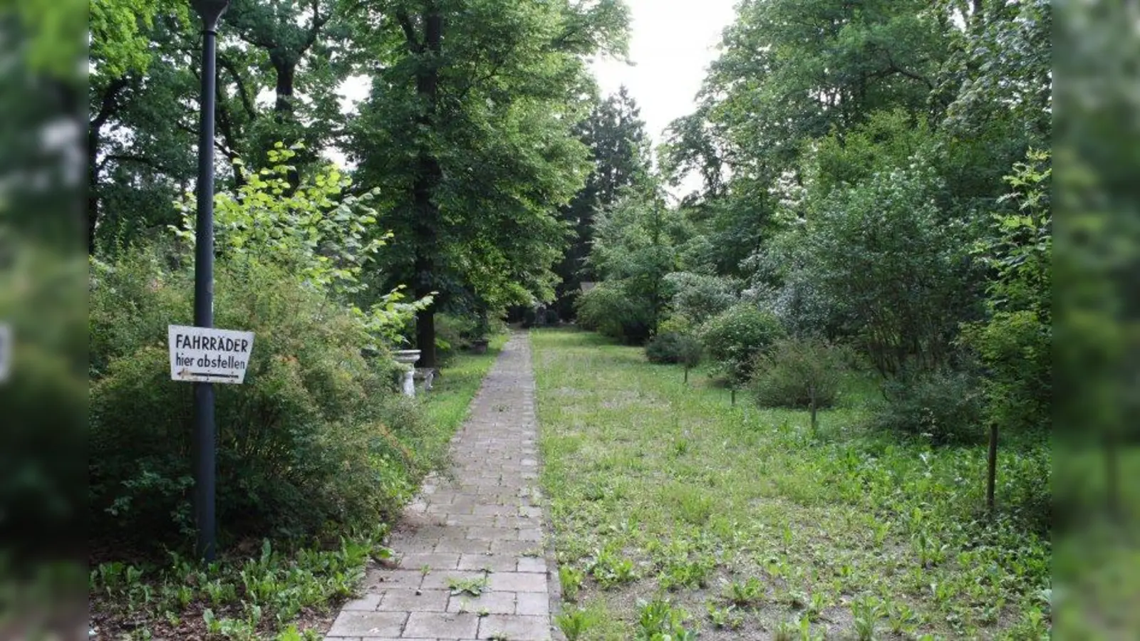 Das Gelände des Taxisparks ist ab sofort zum Teil für die Öffentlichkeit zugänglich. (Foto: sb)