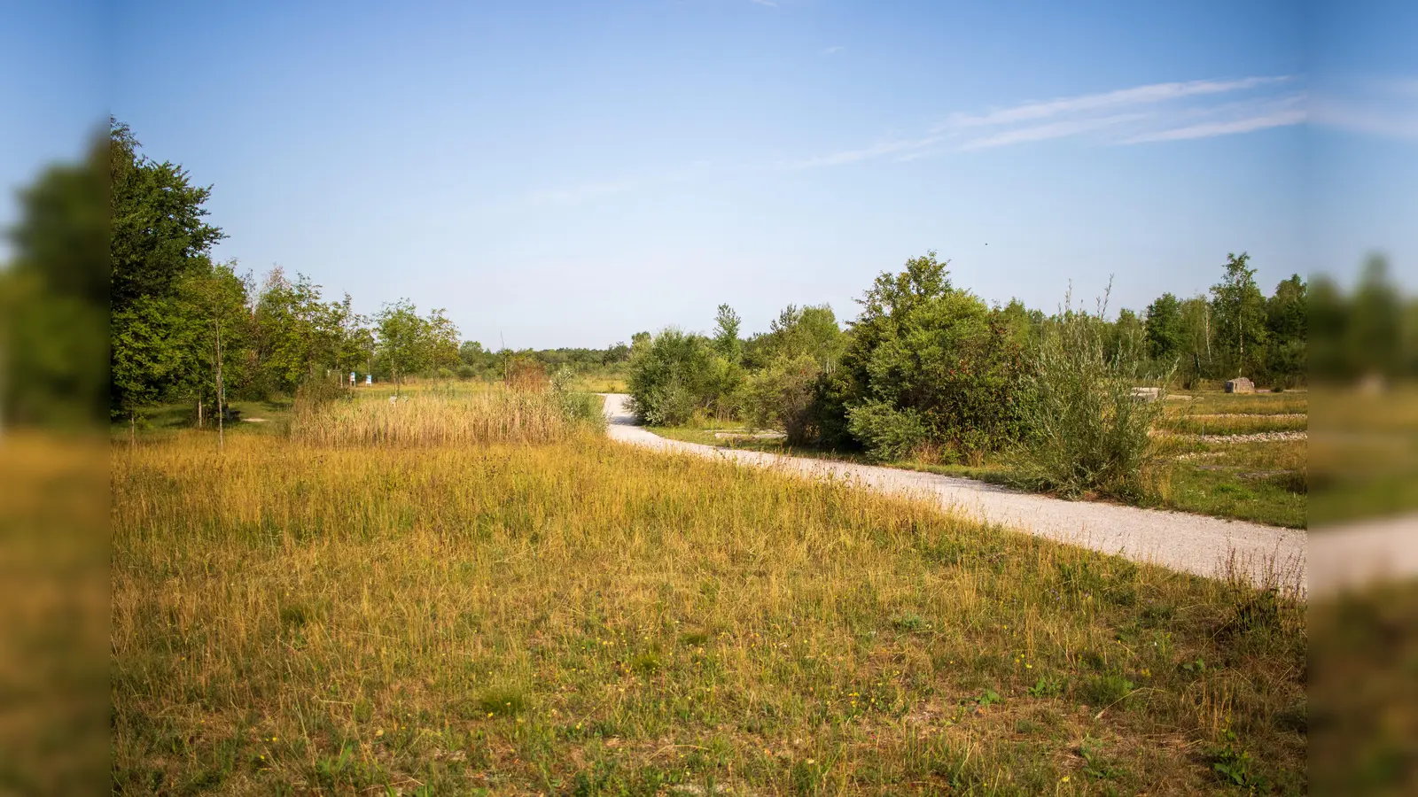 Bei der kostenlosen Kurzführung lernt man die Heide und ihre Geschichte kennen.  (Foto: HFV)