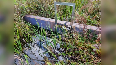 Es werden landwirtschaftliche Betriebe gesucht, die trockengelegte Moorflächen wiedervernässen wollen. Es werden Fördermittel bereit gestellt. (Foto: CO2-Regio)