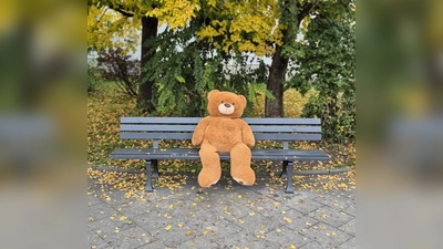 Ein Stoffbär auf der Problembank in der Manzostraße. Der gibt zwar Ruhe, aber Fakt ist, dass eine Lösung für Jugendliche gefunden werden muss. (Foto: tab)