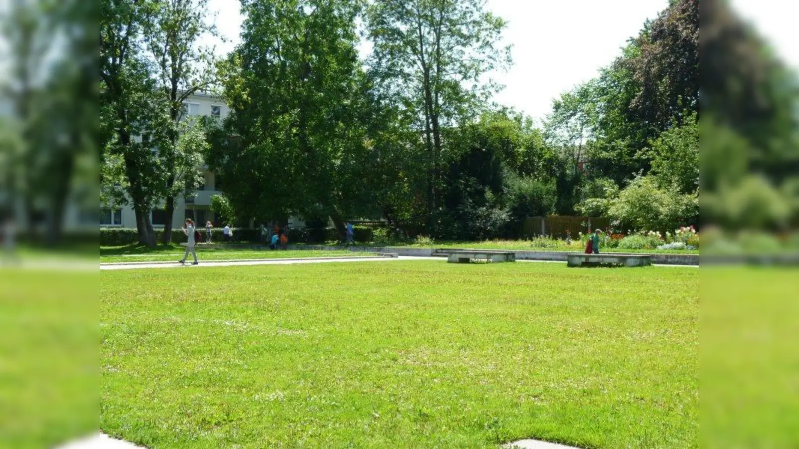 Der Laimer Anger soll Freizeitfläche für den Menschen bleiben. Das Baureferat/ Abteilung Gartenbau will jedoch für die Bepflanzung künftig „möglichst viele Nektar spendende Arten und Sorten verwenden“. (Foto: kö)