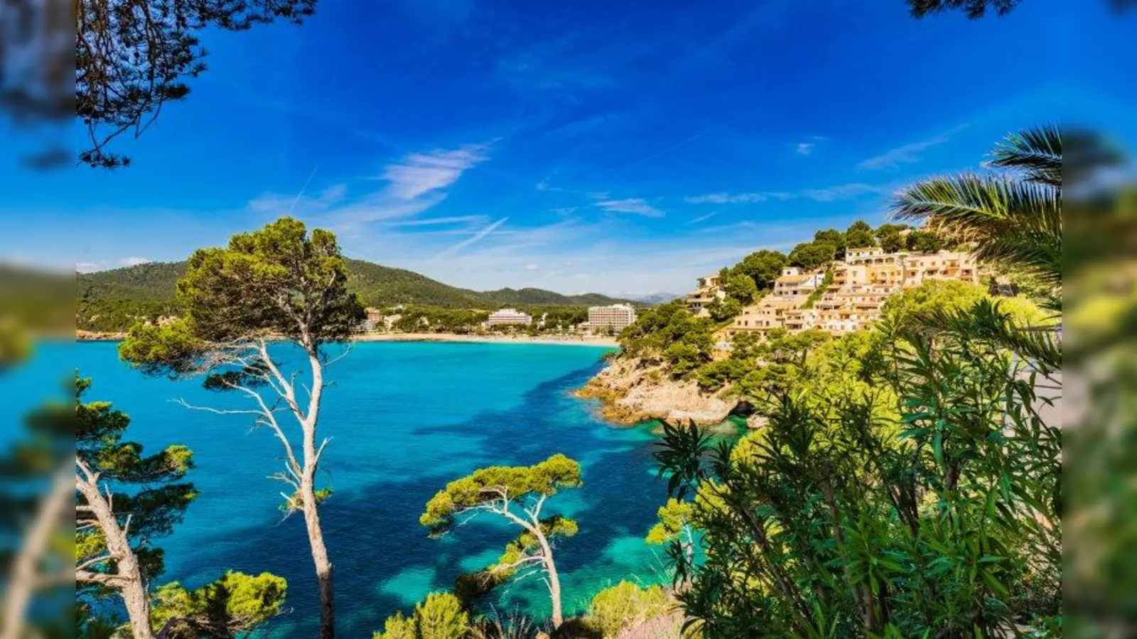 Blühende Landschaften, malerische Buchten: Mallorca ist eine der beliebtesten Ferieninseln. (Foto: Foto: fotolia/vulcanus)