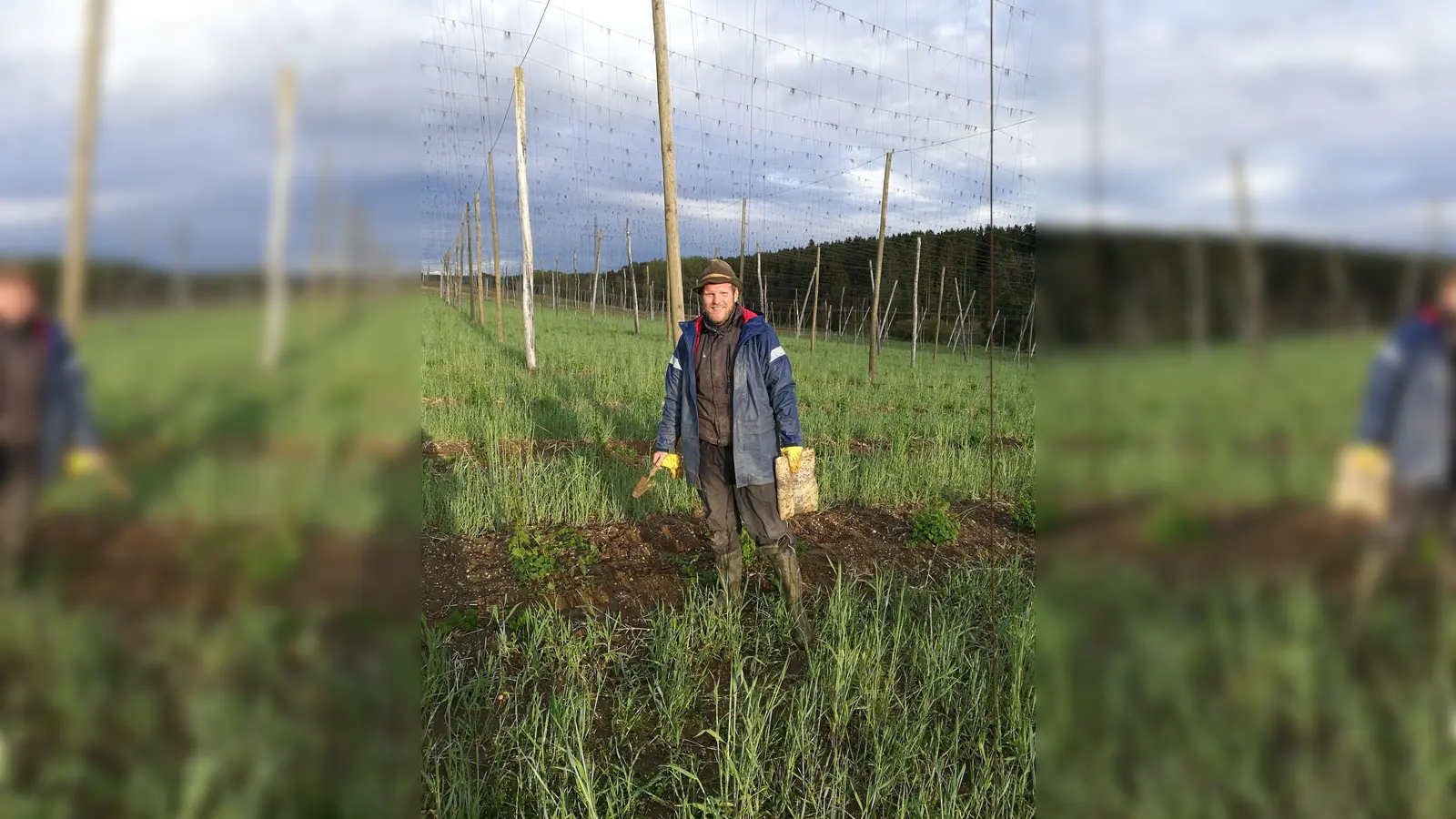 Wochenanzeiger-Redakeur Stefan Dohl berichtet von seinen Erfahrungen beim Hopfenanleiten in der schönen Hallertau.  (Foto: privat)