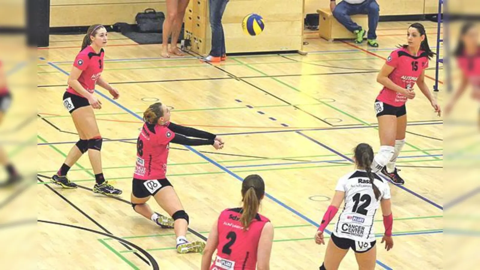 Die DJK-Volleyballdamen sind in der zweiten Bundesliga erfolgreich.	 (Foto: Verein)