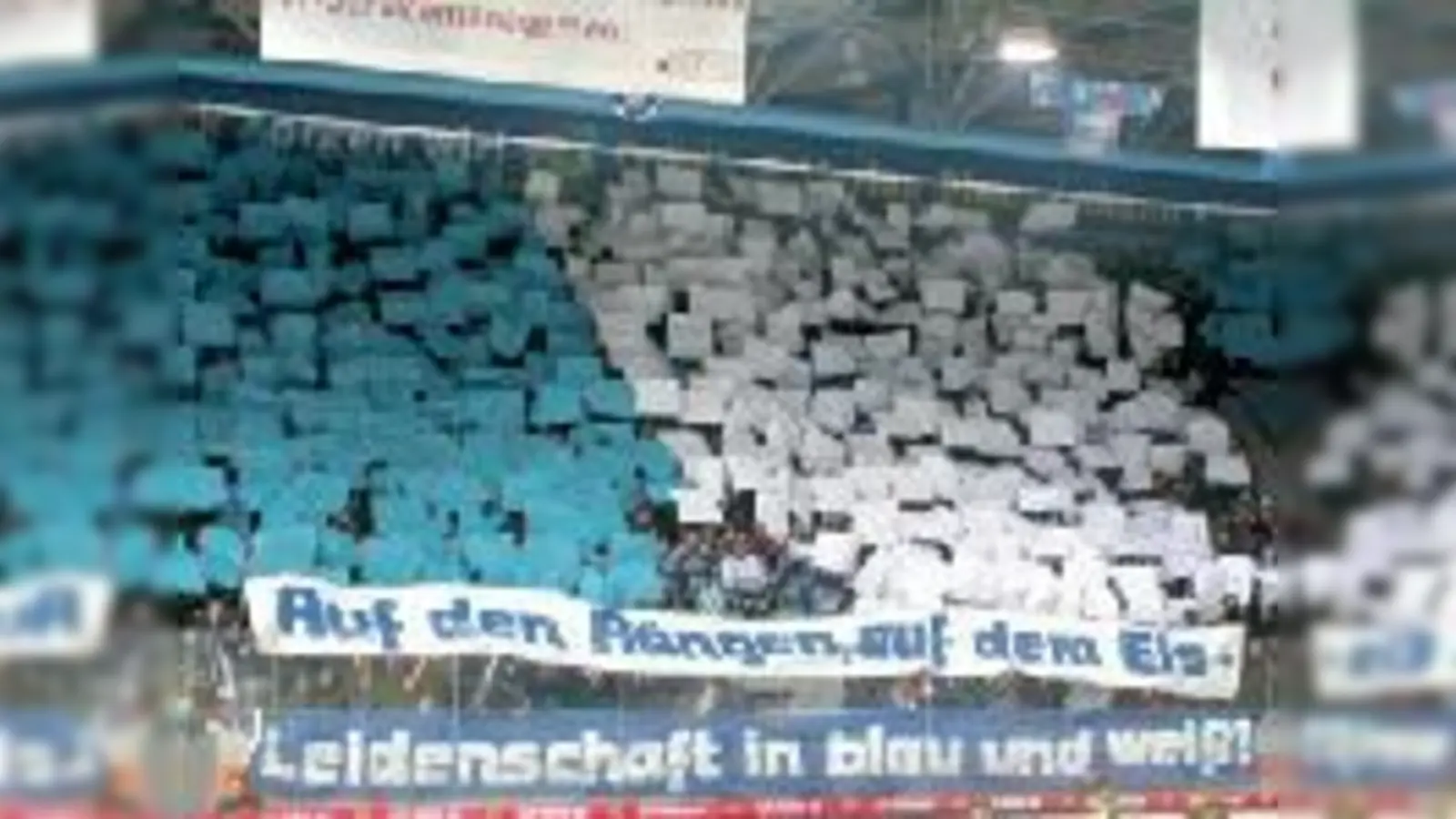 Vor solch motivierender Fankulisse lässt sich gut siegen.  (Foto: Tanja Beer)