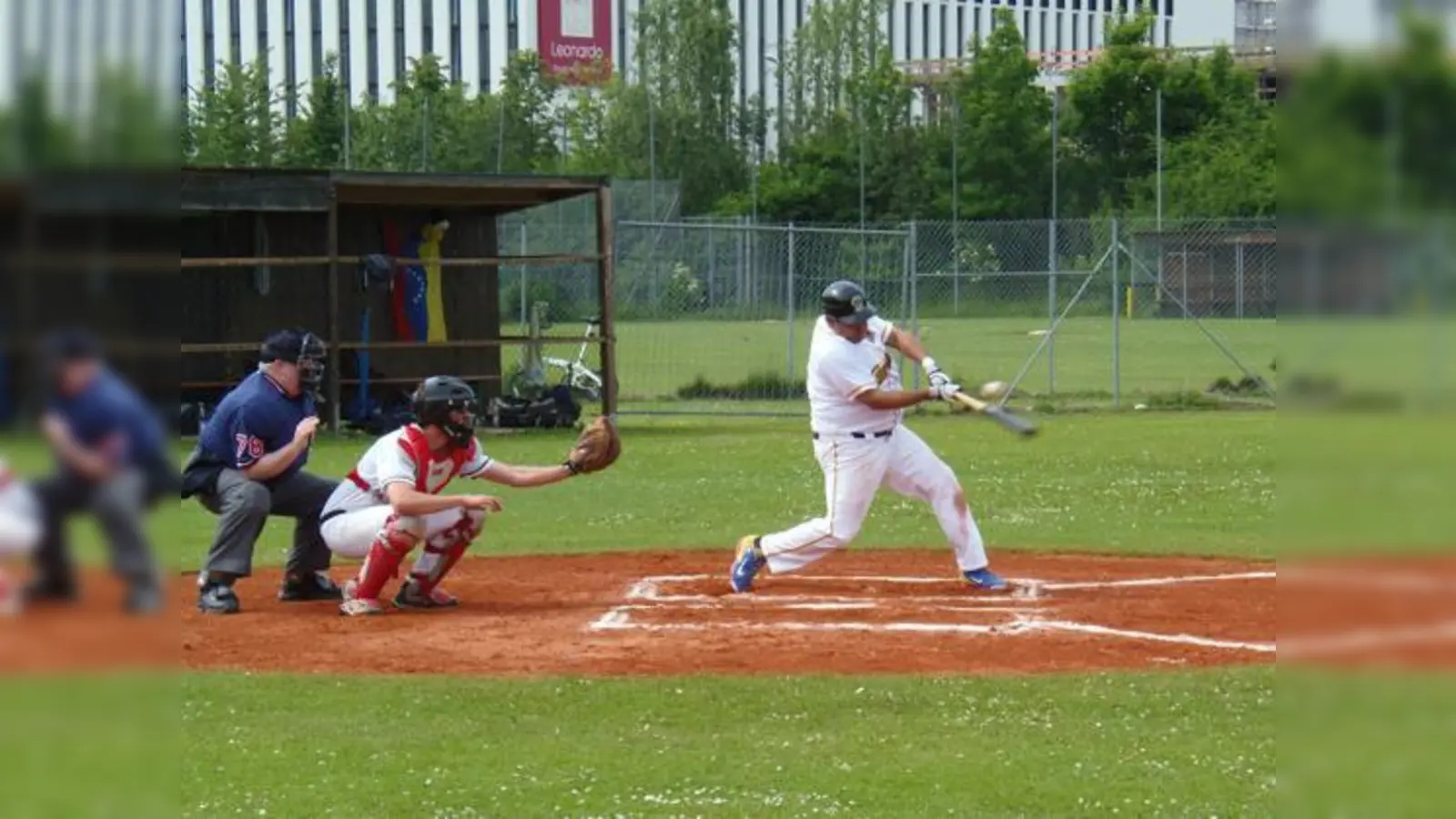 Die München Caribes gewannen die letzten beiden Spiele. Am 14. Juni spielt die Mannschaft gegen die Heidenheim Heideköpfe. 	 (Foto: Caribes)