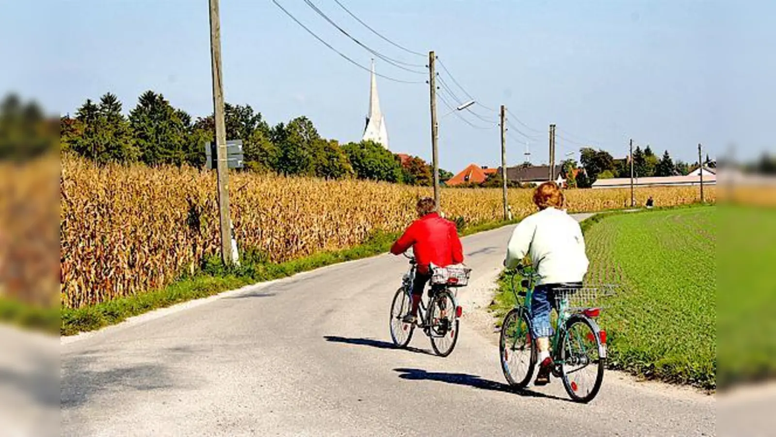 In Feldmoching gibt es auch heute noch sehr viele landwirtschaftlich genutzte Flächen. Entlang der Hammerschmiedstraße radelt man gemächlich an mannshohen Feldern entlang in Richtung Ortszentrum.	 (Foto: ws)