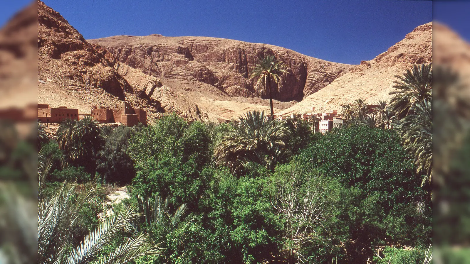 Wener Menner führt sein Publikum durch beeindruckende Landschaften. (Foto: Werner Menner)