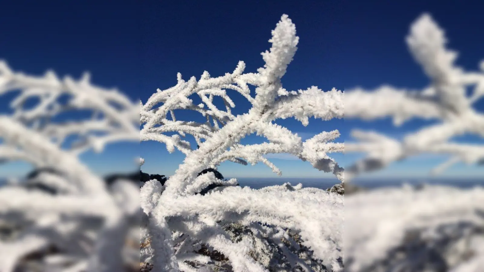 Mit ein wenig Glück können sich die Teilnehmer beim Spaziergang „Platzerl, Glühwein und Gedichte” auf eine winterliche Kulisse im Schlosspark freuen. (Foto: Kuttenberger)