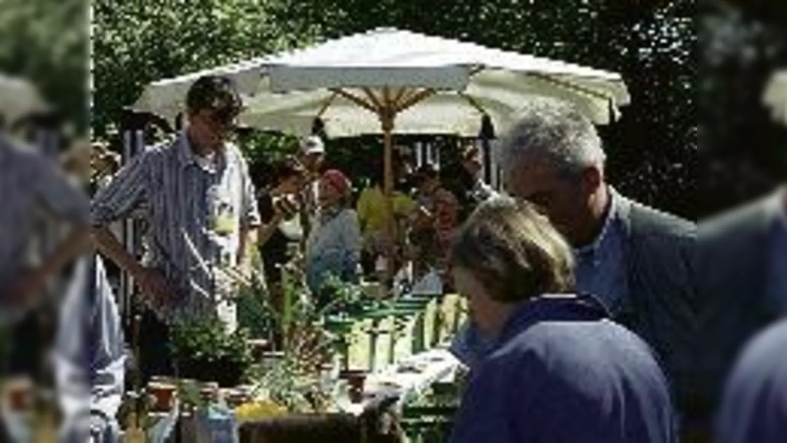 In der Ideenwerkstatt des ÖBZ sollen Umweltprojekte  aktiv gestaltet werden. 	 (Foto: VA)