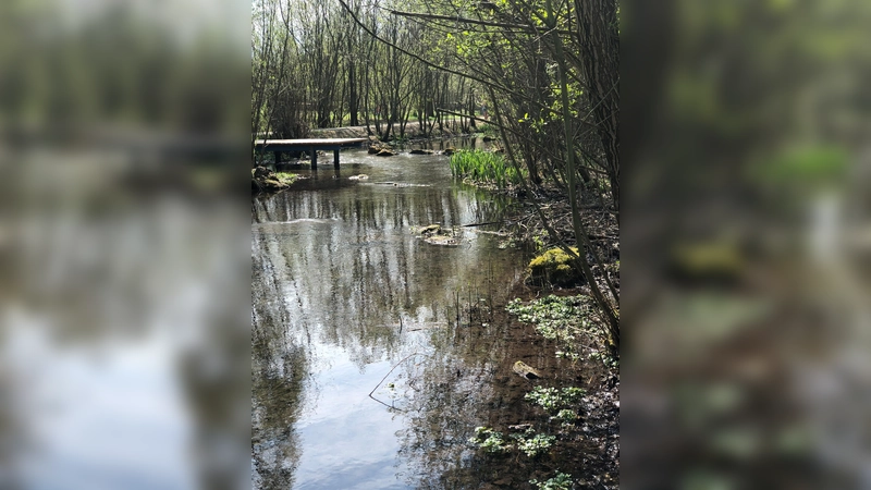Das Areal rund um den Hachinger Bach im Landschaftspark soll vom Müll befreit werden. (Foto: hw)
