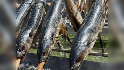 Köstliche Steckerlfisch dürfen beim Pfarrfest natürlich nicht fehlen. (Foto: hw)