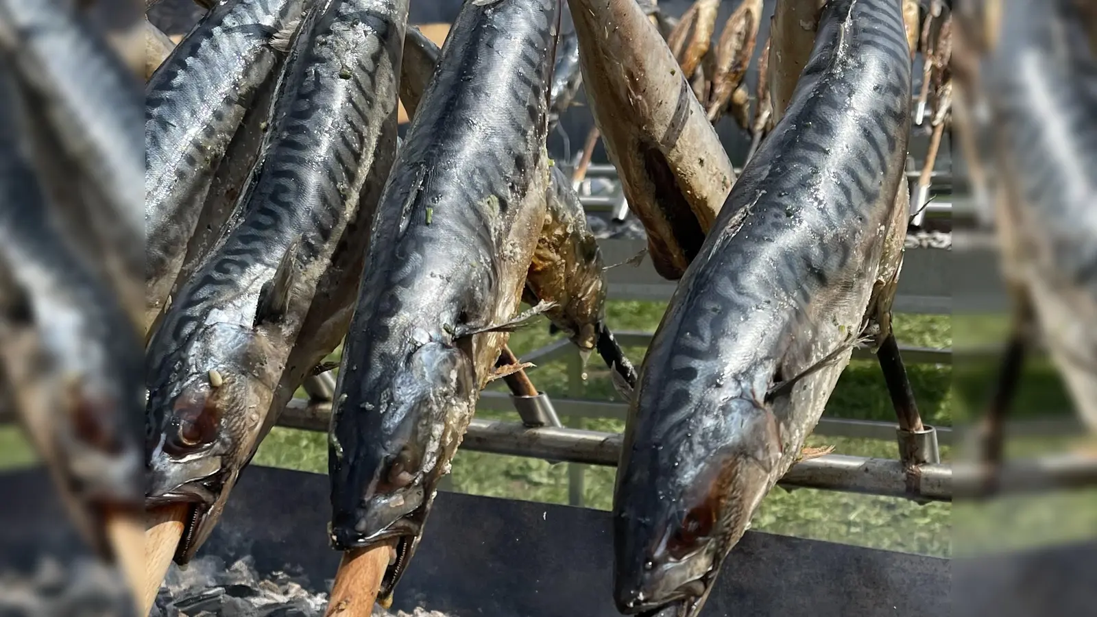Was wäre ein zünftige Maifeier ohne frisch gegrillten Steckerlfisch! Diese und andere Schmankerl warten schon. (Foto: hw)