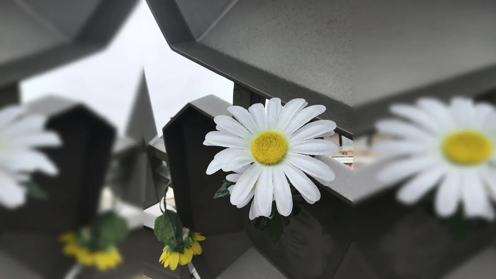 Bei der Veranstaltung geht es darum, dass an die fürchterliche Tat gedacht und gemahnt werden soll. (Foto: Daniel Mielcarek)