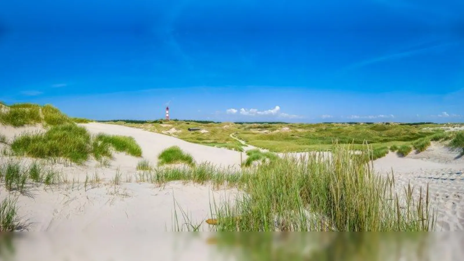 Die herrlichen Dünenstreifen entlang der dänischen Küste gehören für viele Besucher zu den wichtigsten Beweggründen, die Ferien im südlichsten Land Skandinaviens zu verbringen. (Foto: fotolia.com – JFL Photography)