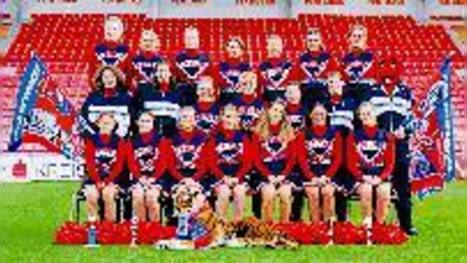 Die Profitruppe der Haching-Angels Cheerleaders.	 	 (Foto: Verein)