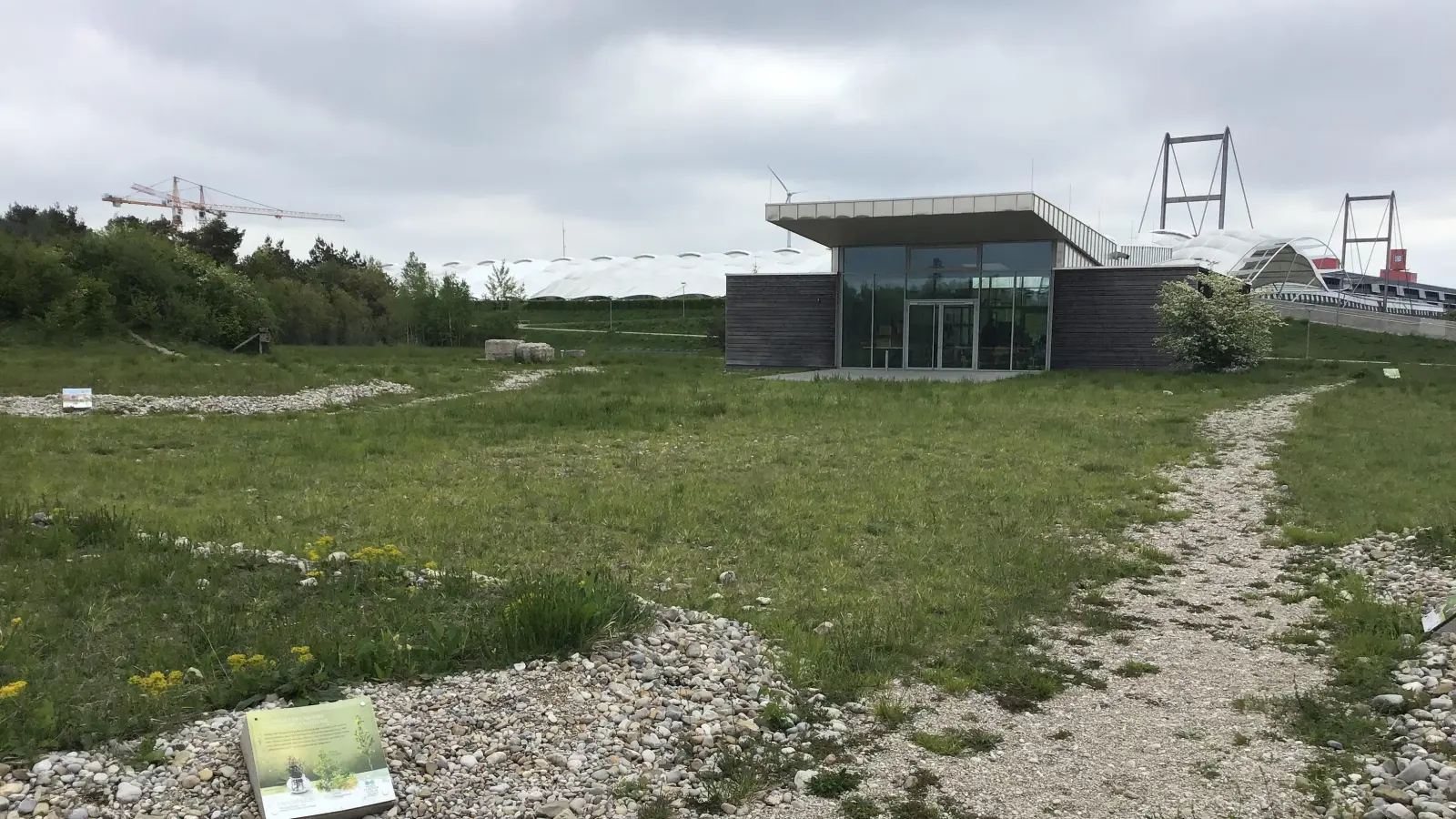 Die Fröttmaninger Heide ist eines der Einsatzgebiete der Teilnehmer am FÖJ.  (Foto: Daniel Mielcarek)