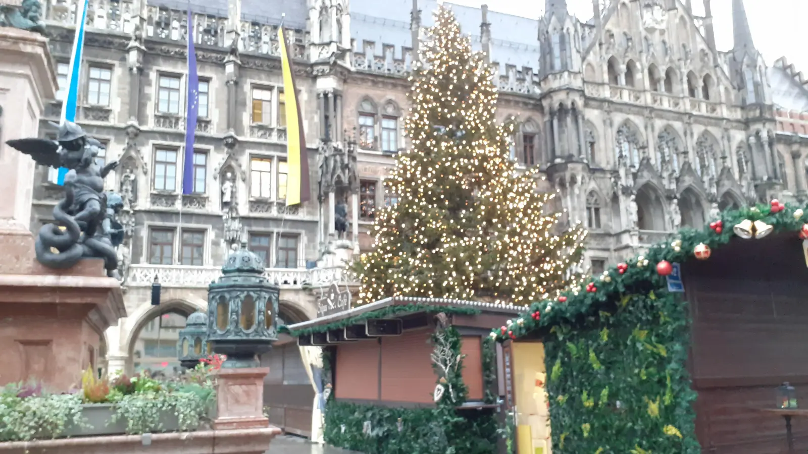 Am Marienplatz leuchtet der 23 Meter hohe Christbaum vor dem Rathaus von 16 Uhr bis frühmorgens viertel nach acht.  (Foto: mha)