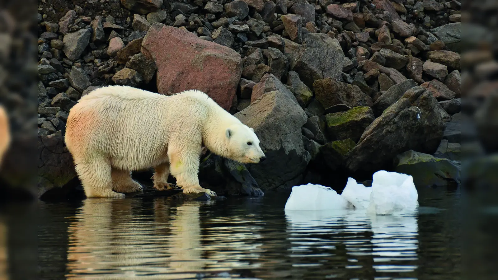 Christoph Ruhsam gelangen faszinierende Aufnahmen von der hohen Arktis. (Foto: Christoph Ruhsam)