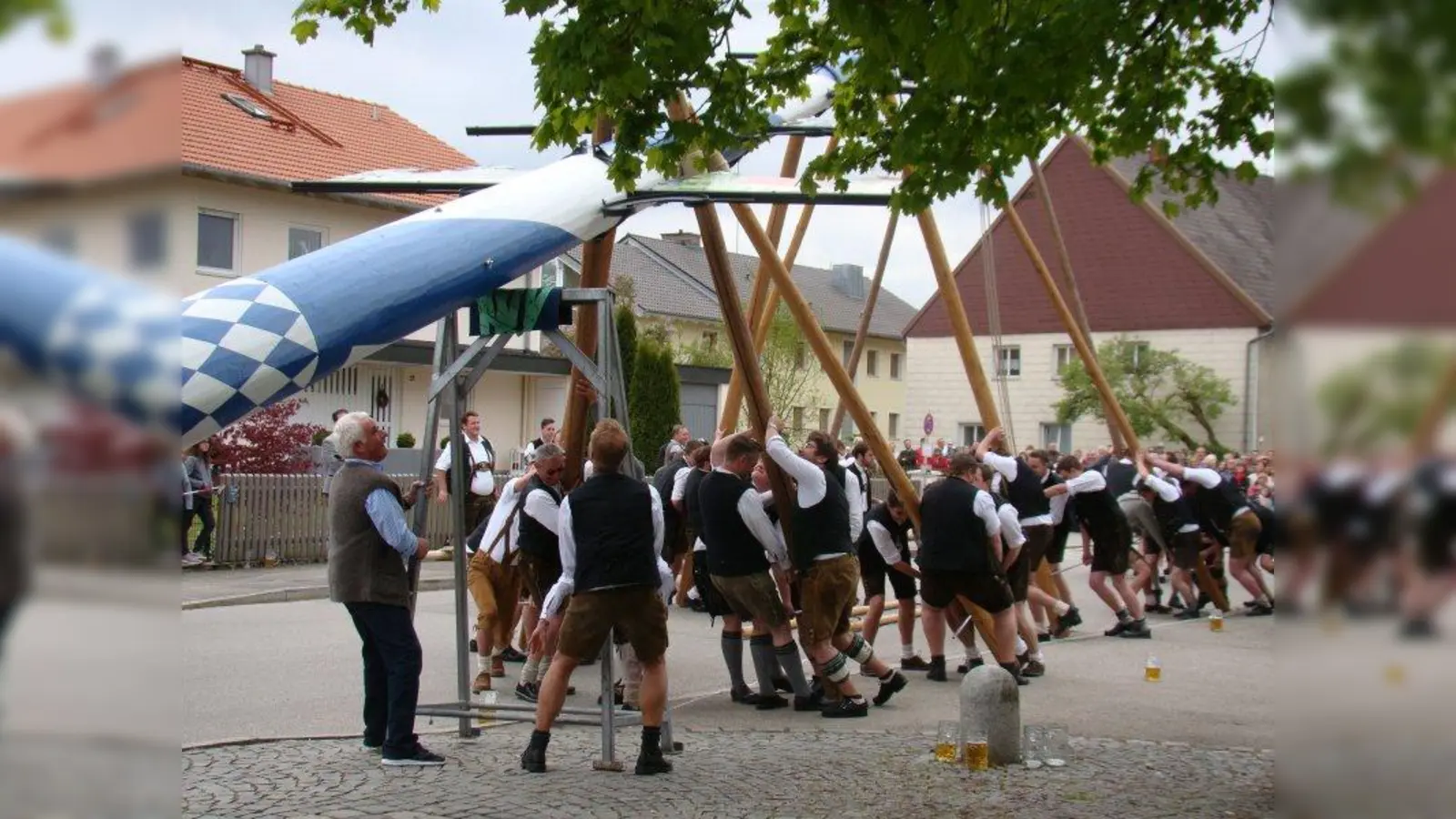 „Pack mas!” Mit allen Kräften wird der Unterpfaffenhofener Maibaum nach oben gestemmt. (Foto: pst)