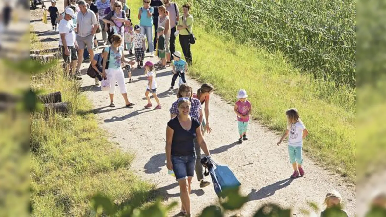 »Wo kommt mein Essen her?«  am 27. Juni lädt das AELF Ebersberg zu einem Spaziergang der besonderen Art auf den Zehmerhof nach Gelting ein. 	 (Foto: AELF)