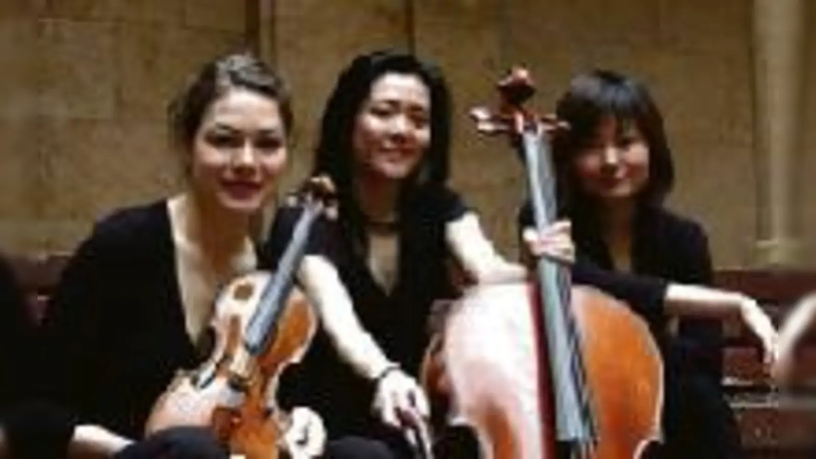 Von Haydn über Brahms bis Schubert: Meisterkonzert im Rathaus Feldkirchen.	 (Foto: Gemeinde)