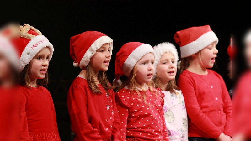 Die Musikschule lädt zum Nikolauskonzert ein.  (Foto: Musikschule )