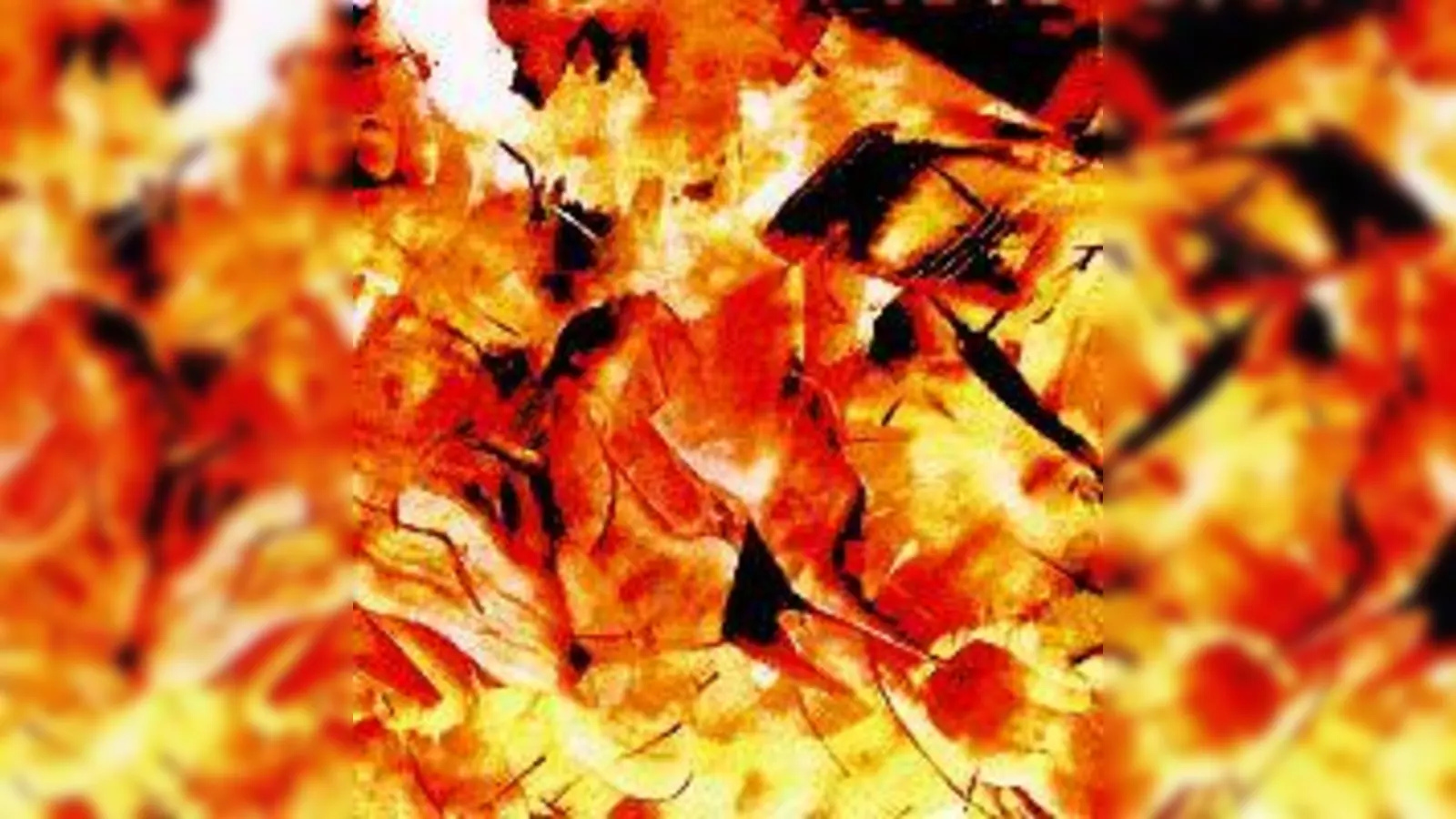 Lichtbild von Ruzicka. (Foto: Privat)