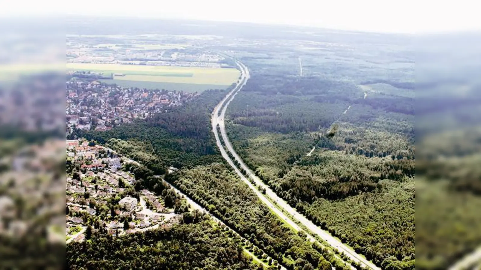 Der Perlacher/Grünwalder Forst ist durch einen Autobahn-Südring bedroht. Am Samstag, 23. Mai, soll dagegen demonstriert werden.  (Foto: Schunk)