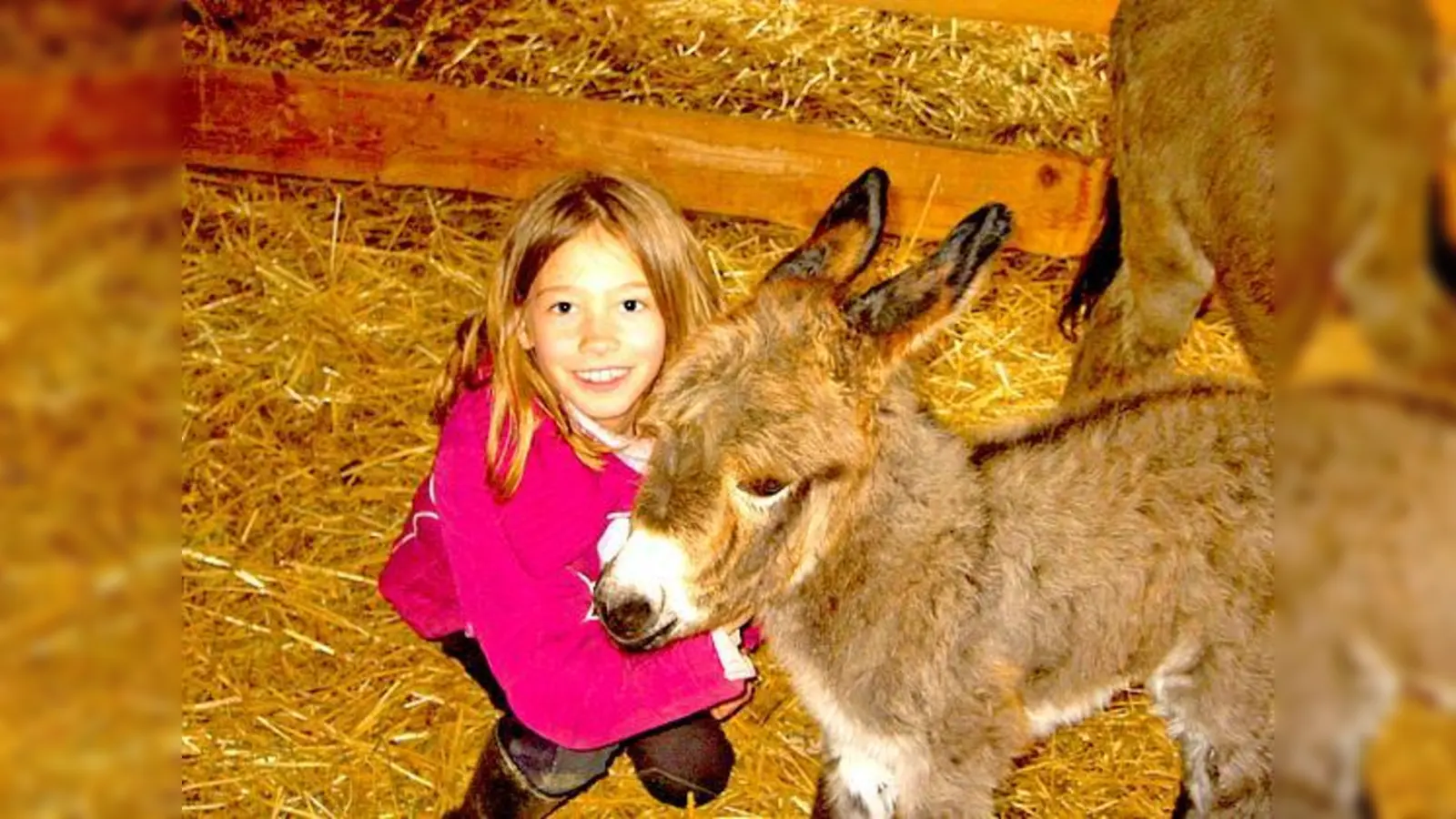 Die niedlichen Esel stehen bei den Kindern ganz hoch im Kurs.	 (Foto: VA)